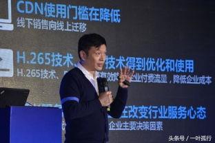 深圳最新爆料陈磊案件  第3张